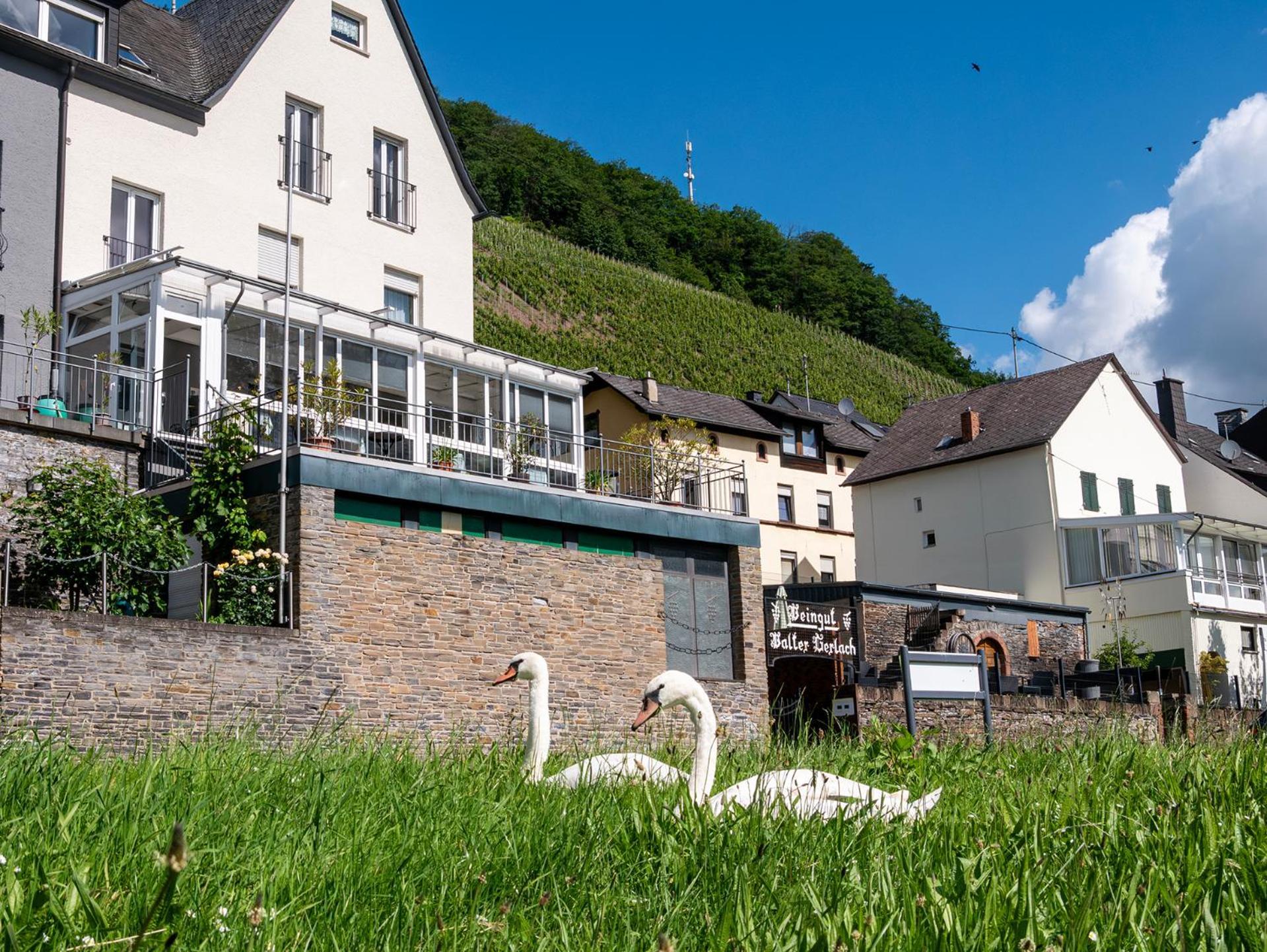 Weingut / Gaestehaus Gerlach Uerzig Exterior photo